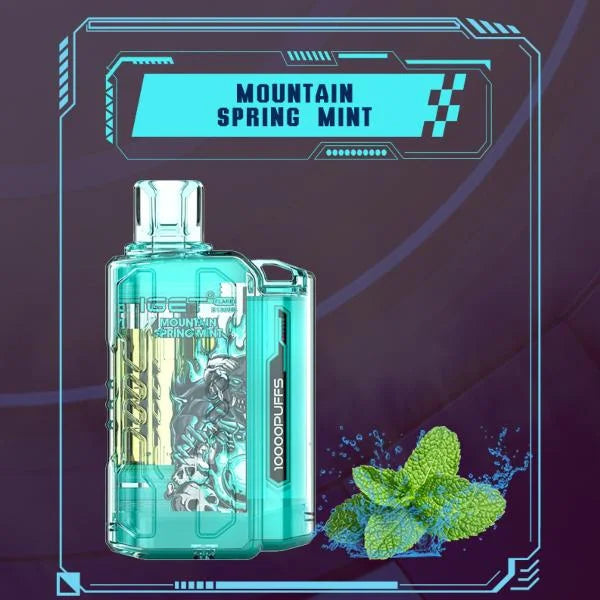IGET FLARE B10000 – Mountain Spring Mint - Vape Shop Gurgaon