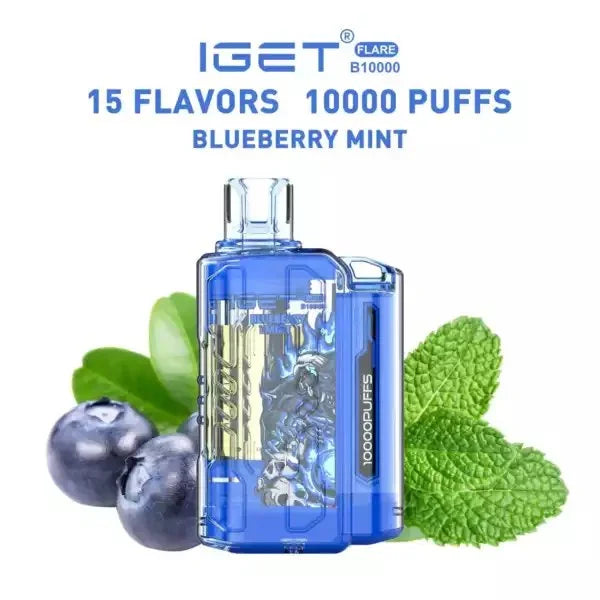 IGET FLARE B10000 – Blueberry Mint - Vape Shop Gurgaon