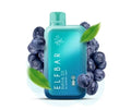 ELF BAR RAYA D1 – Blueberry Mint - Vape Shop Gurgaon